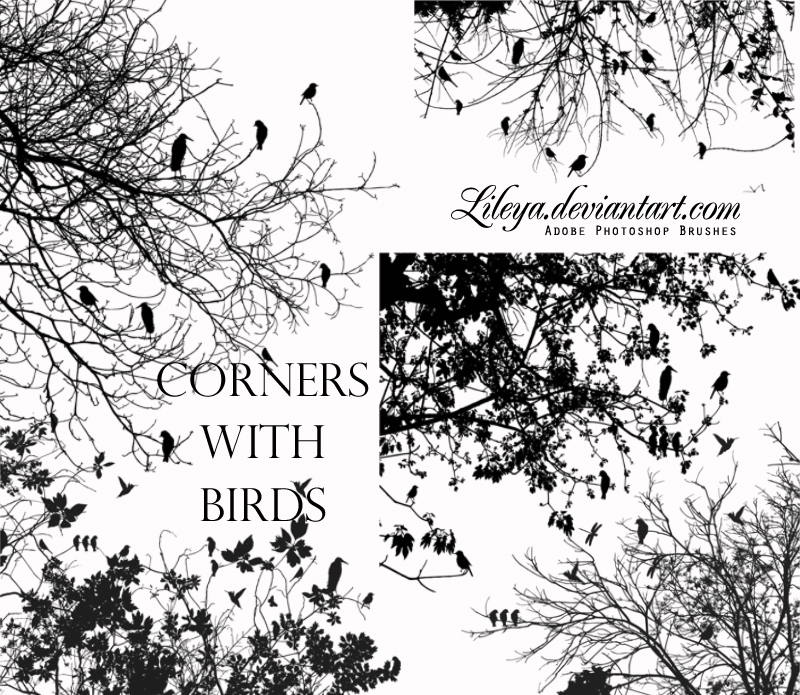 Corners with Birds Photoshop brush