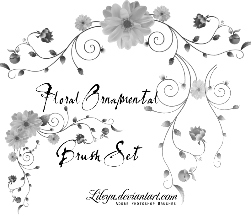 Floral Ornamental Brush Set Photoshop brush