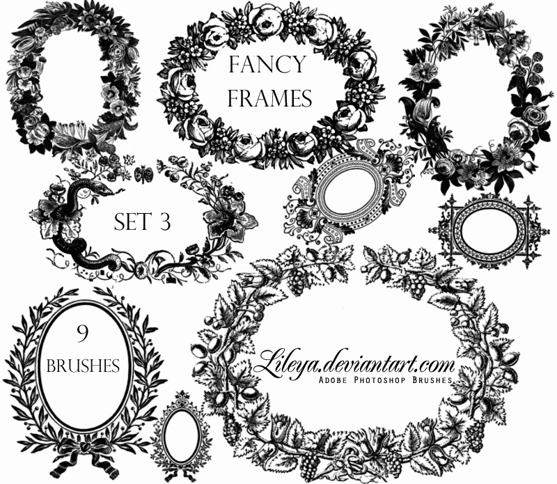Fancy Frames set 3 Photoshop brush