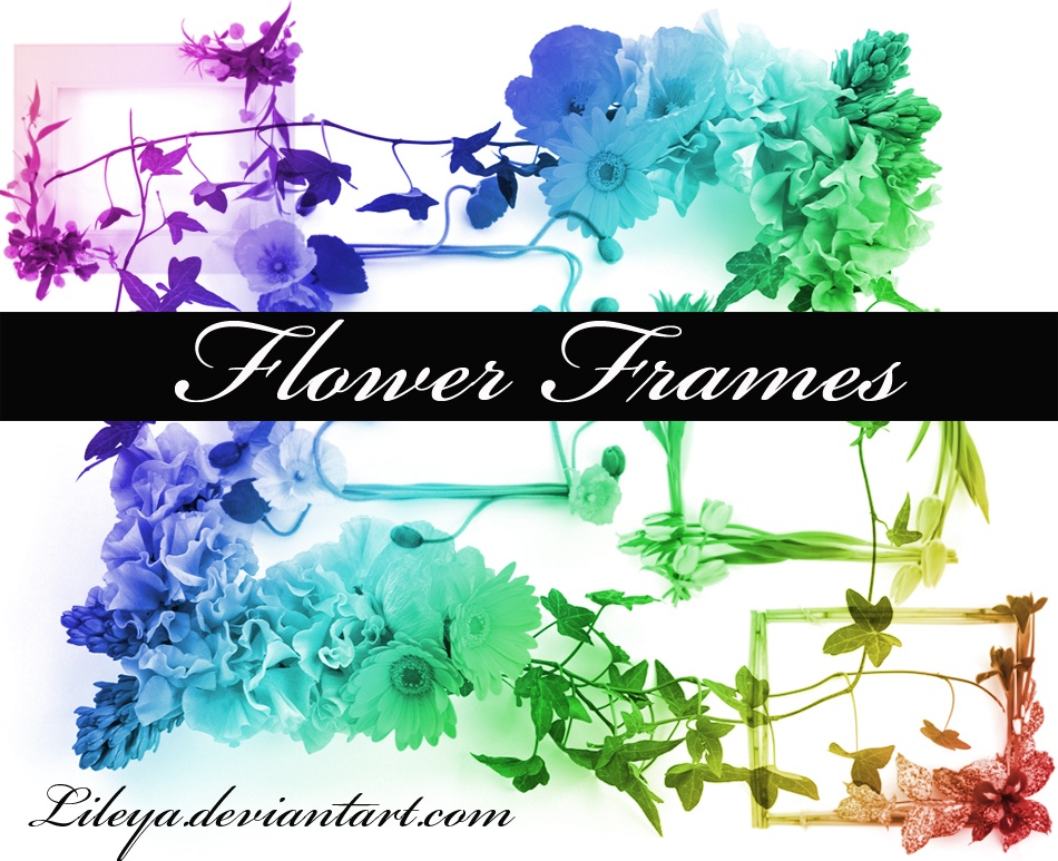 Flower Frames Photoshop brush
