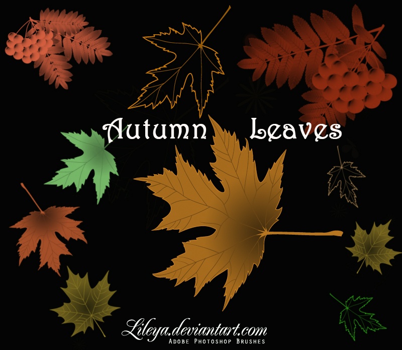 Autumn Leaves Photoshop brush