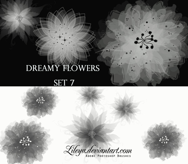 Dreamy Flowers set 7 Photoshop brush