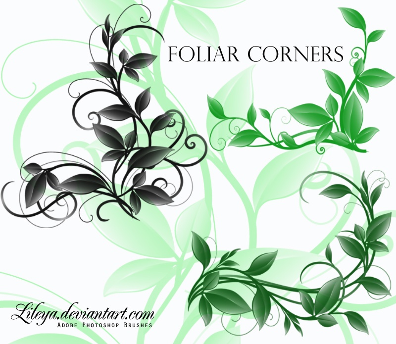 Foliar Corners Photoshop brush