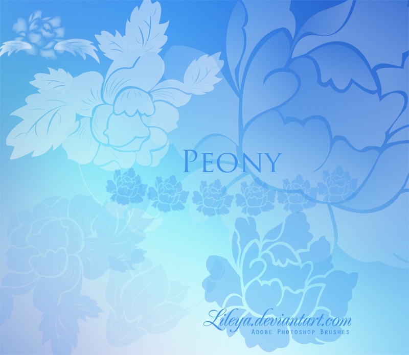 Peony Photoshop brush