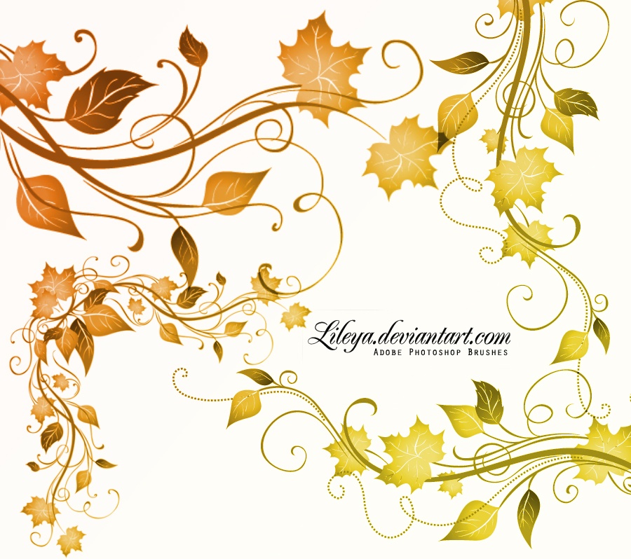 Leaves Corners Photoshop brush