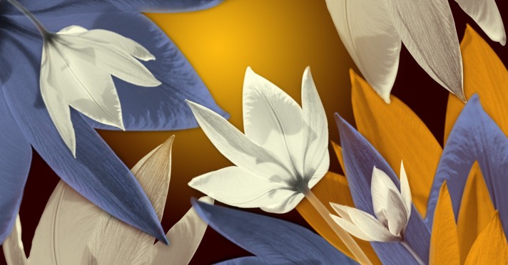 Shiny Flower Brushes Photoshop brush