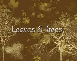 Autumn Inspired Brushes Photoshop brush