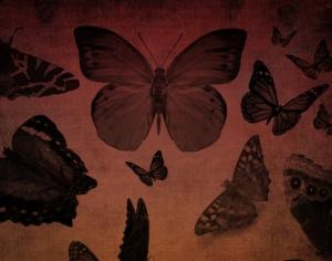 Butterfly Brushes Photoshop brush