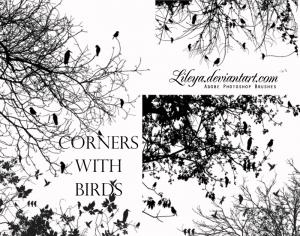 Corners with Birds Photoshop brush