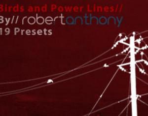 Birds And Power Lines Photoshop brush
