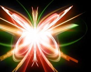 Abstract Butterfly Brushes Photoshop brush