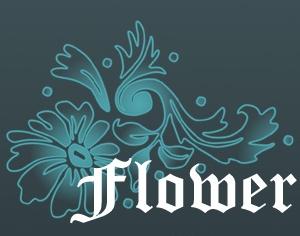 Flower Decoration Brushes Photoshop brush