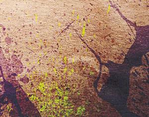 WG Splatter Vol1 Photoshop brush