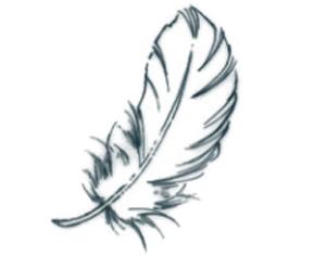 Feathers Photoshop brush