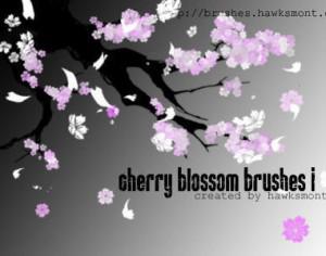 Cherry Blossom 1 Photoshop brush