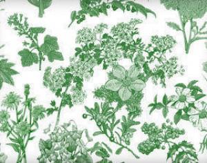 Flora Brushes 1 Photoshop brush