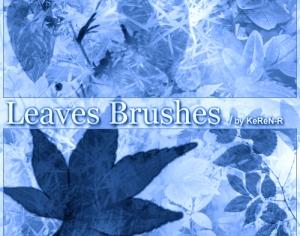 Leaves Brushes Photoshop brush