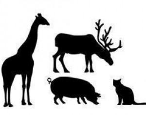 Free Animal Silhouettes Photoshop brush