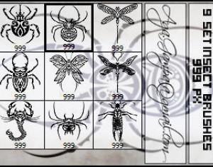 9 set Insect brushes 999 Px Photoshop brush