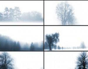 Beyond the Mist Photoshop brush