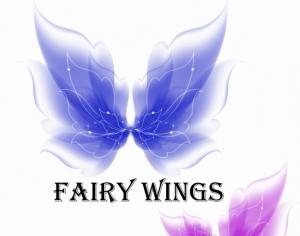 Fairy Wings Photoshop brush