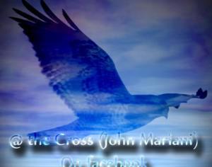 Hawk Brush Sample  Photoshop brush