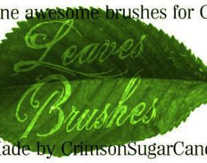 Summer Leaves Photoshop brush