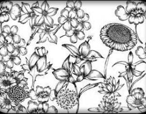 Hand Drawn Flowers Free Brush Pack Photoshop brush
