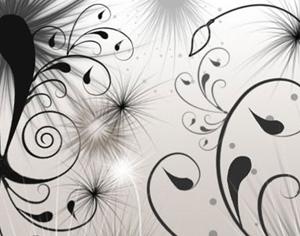 Swirls & Seeds Photoshop brush