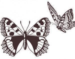 Free Butterfly Brushes Photoshop brush