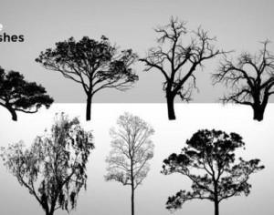 9 High Resolution Tree Brushes Photoshop brush
