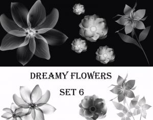 Dreamy Flowers set 6 Photoshop brush