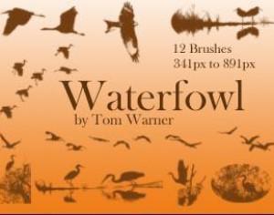 Waterfowl Photoshop brush