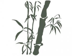 Bamboo Photoshop brush