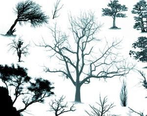 Tree Brush set Photoshop brush