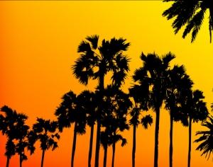 Palm Tree Set Photoshop brush