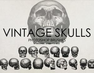 Free Vintage Skulls Photoshop Brushes Photoshop brush