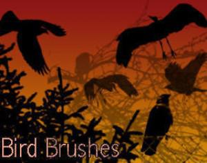 18 Bird Brushes Photoshop brush