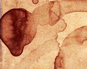 Coffee stains brush Photoshop brush