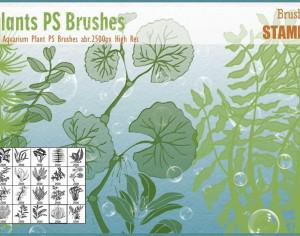 Aquarium Plant PS Brushes  Photoshop brush