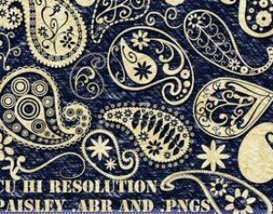 Funky Paisley Brushes Photoshop brush