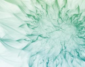Fractal Flower Brushes Photoshop brush