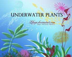 Underwater Plants Photoshop brush
