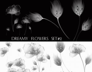 Dreamy Flowers set 2 Photoshop brush