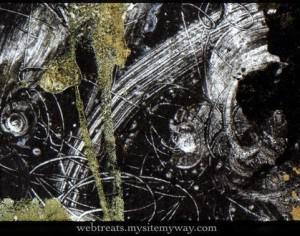 Abstract Grunge Painted Textures Photoshop brush