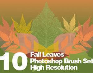 High Res Real Leaf Brushes Photoshop brush