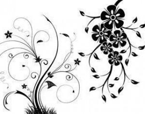 Free Floral Swirls Brushes Photoshop brush