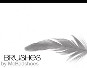 Feather Brushes Photoshop brush