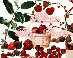 Berries Photoshop brush