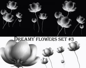 Dreamy Flowers set 3 Photoshop brush
